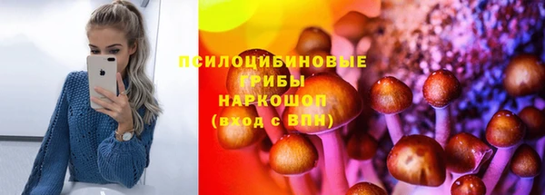 прущая мука Бородино