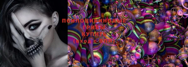 прущая мука Бородино
