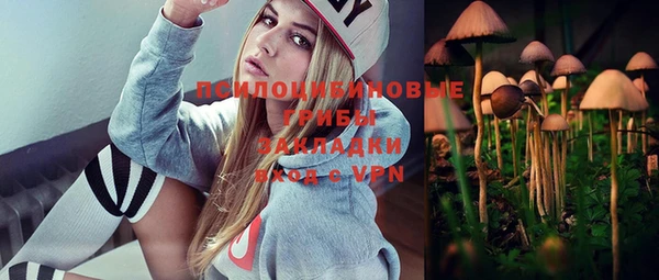 прущая мука Бородино