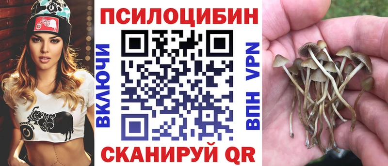 hydra ONION  дарнет шоп  Петров Вал  Галлюциногенные грибы мухоморы 